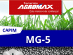 Sementes de Capim MG-5 - (Brachiaria MG-5 = Xaraés = Toledo) - Sacas de 10KG Peletizadas