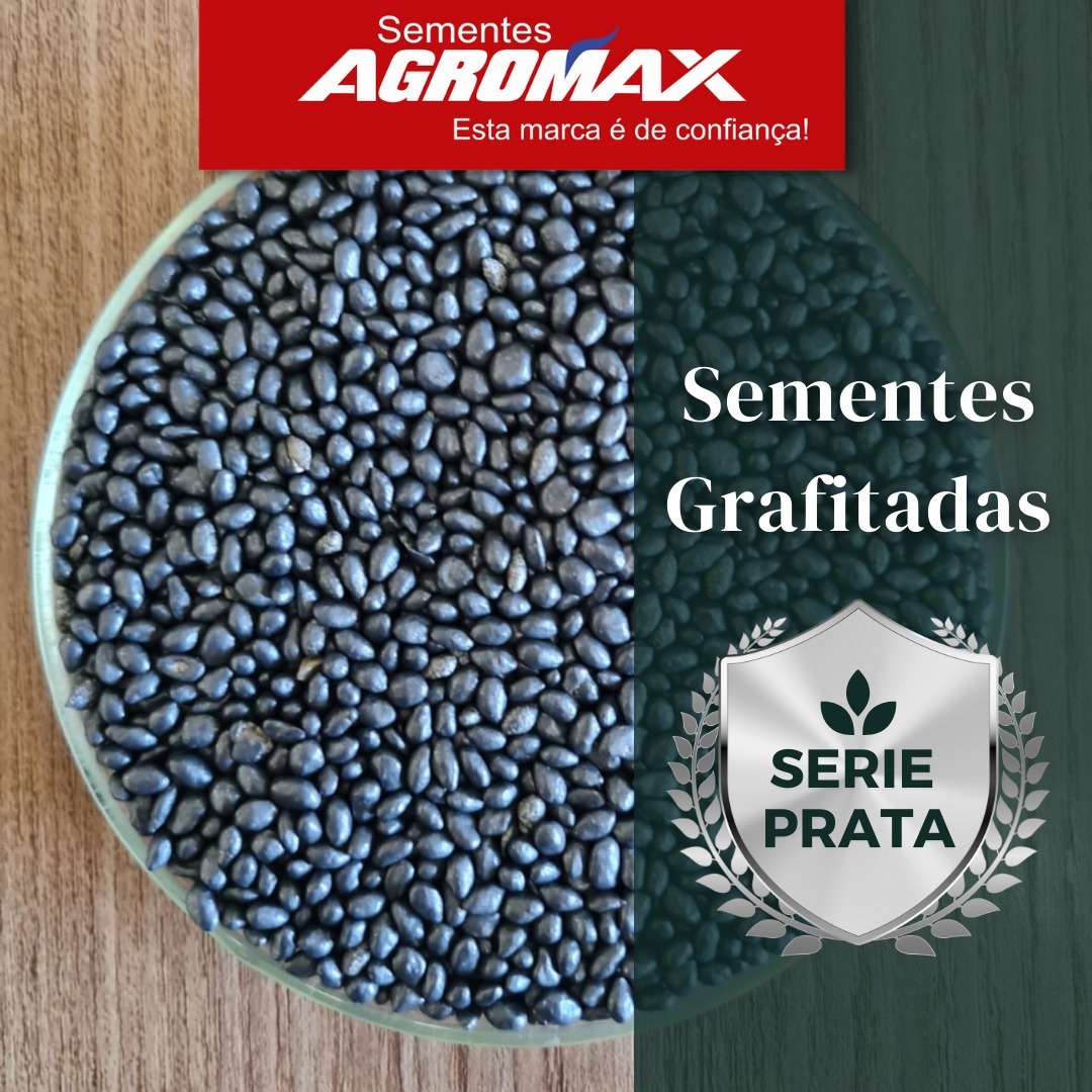 Sementes de Capim MG-5 - (Brachiaria MG-5 = Xaraés = Toledo) - Sacas de 10KG Peletizadas