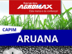 Sementes de Capim Aruana ( Panicum Maximum Aruana) Sacas de 10KG Peletizadas