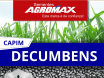 Sementes de Capim Decumbens - (Brachiaria Decumbens Basilisk) - Sacas de 10KG Peletizadas