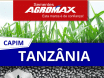 Sementes de Capim Tanzânia - ( Panicum Maximum Tanzânia) - Sacas de 10KG Peletizadas