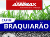 Sementes de Capim Braquiarão - (Brachiaria Brizantha Marandu) - Sacas de 10KG Peletizadas