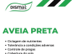 Aveia Preta