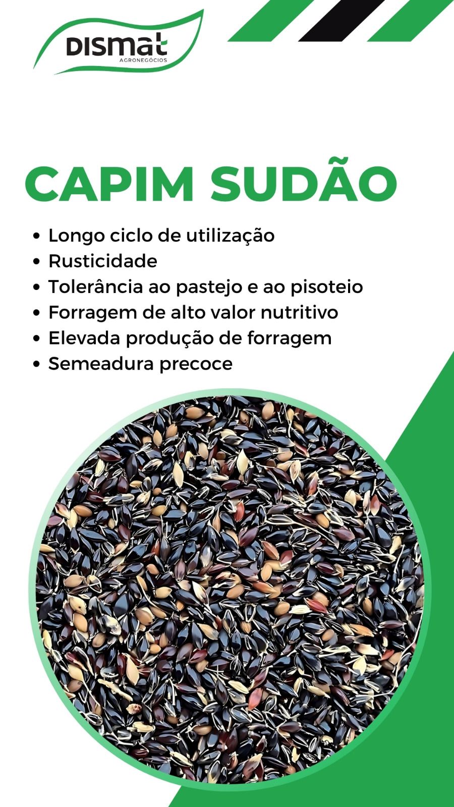 Capim Sudão