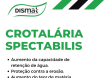 Crotalária Spectabilis