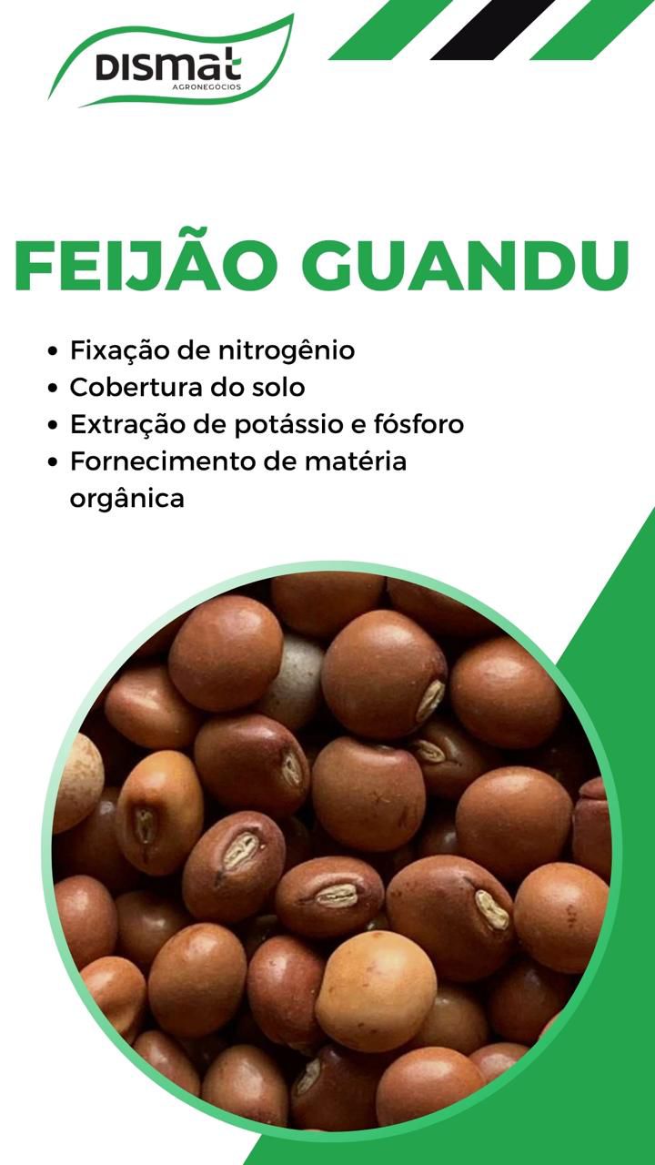 Feijão Guandu