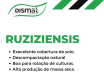 Ruziziensis