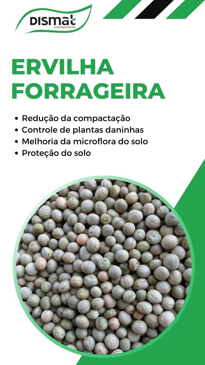 Ervilha Forrageira