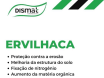 Ervilhaca