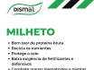 Milheto