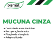 Mucuna Cinza