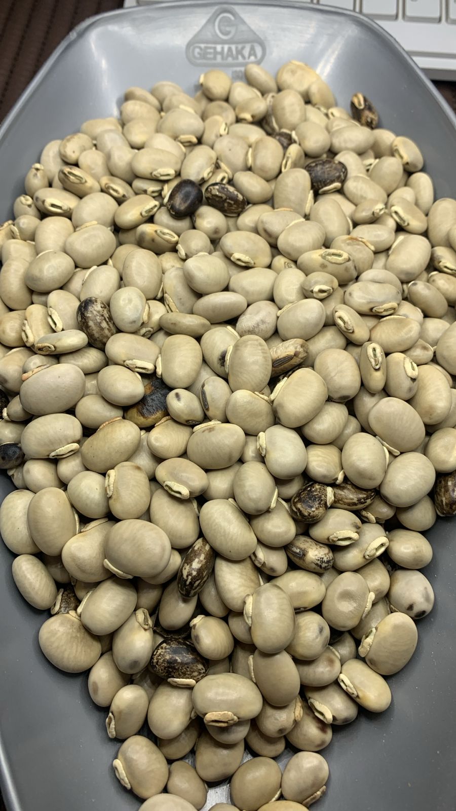 Mucuna Cinza