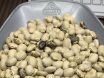 Mucuna Cinza