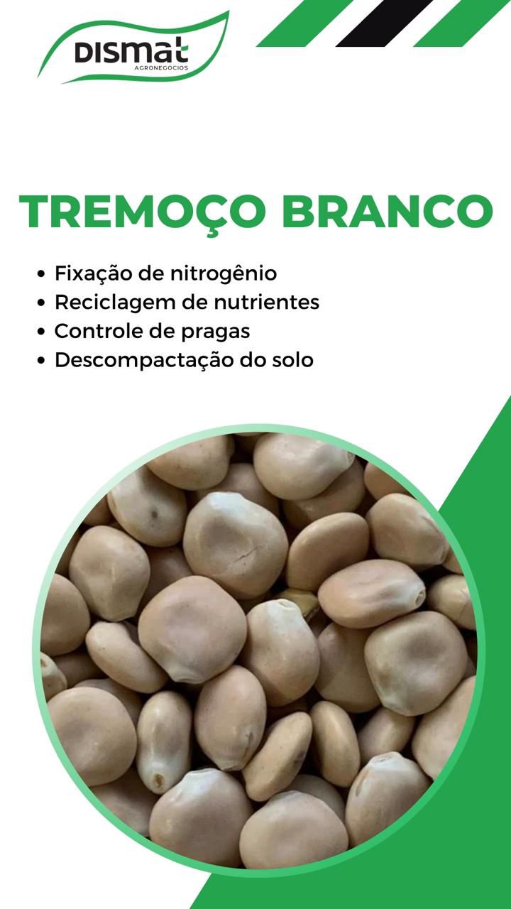 Tremoço Branco